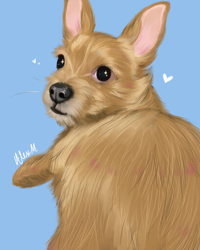 Dude the Dog
